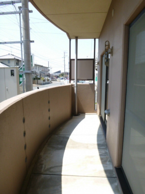 コスモス ベランダ