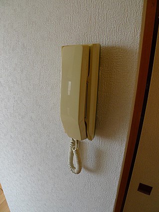 トヴァリーチ その他3