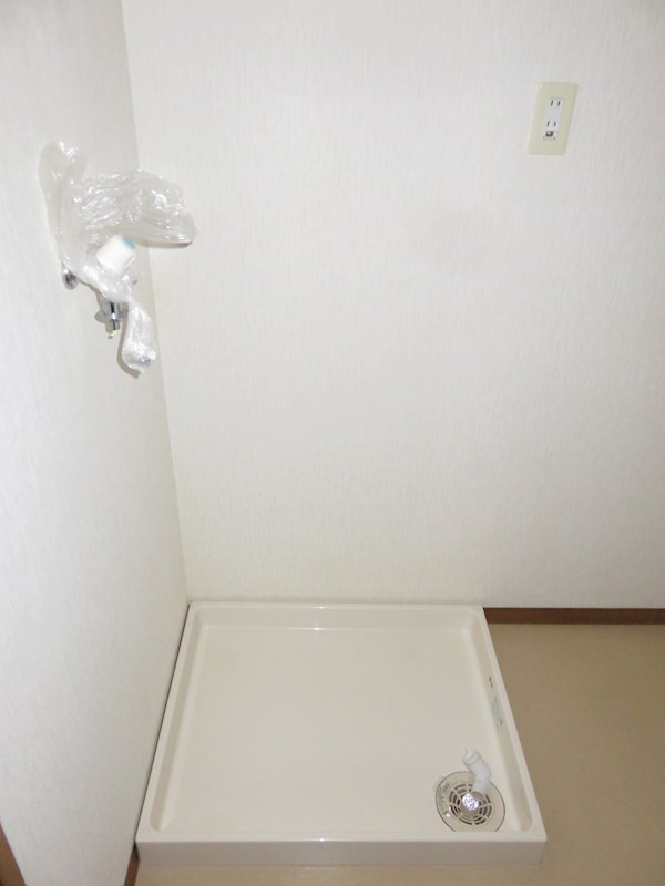 ＳＴＡＲ　ＤＲＥＡＭ その他