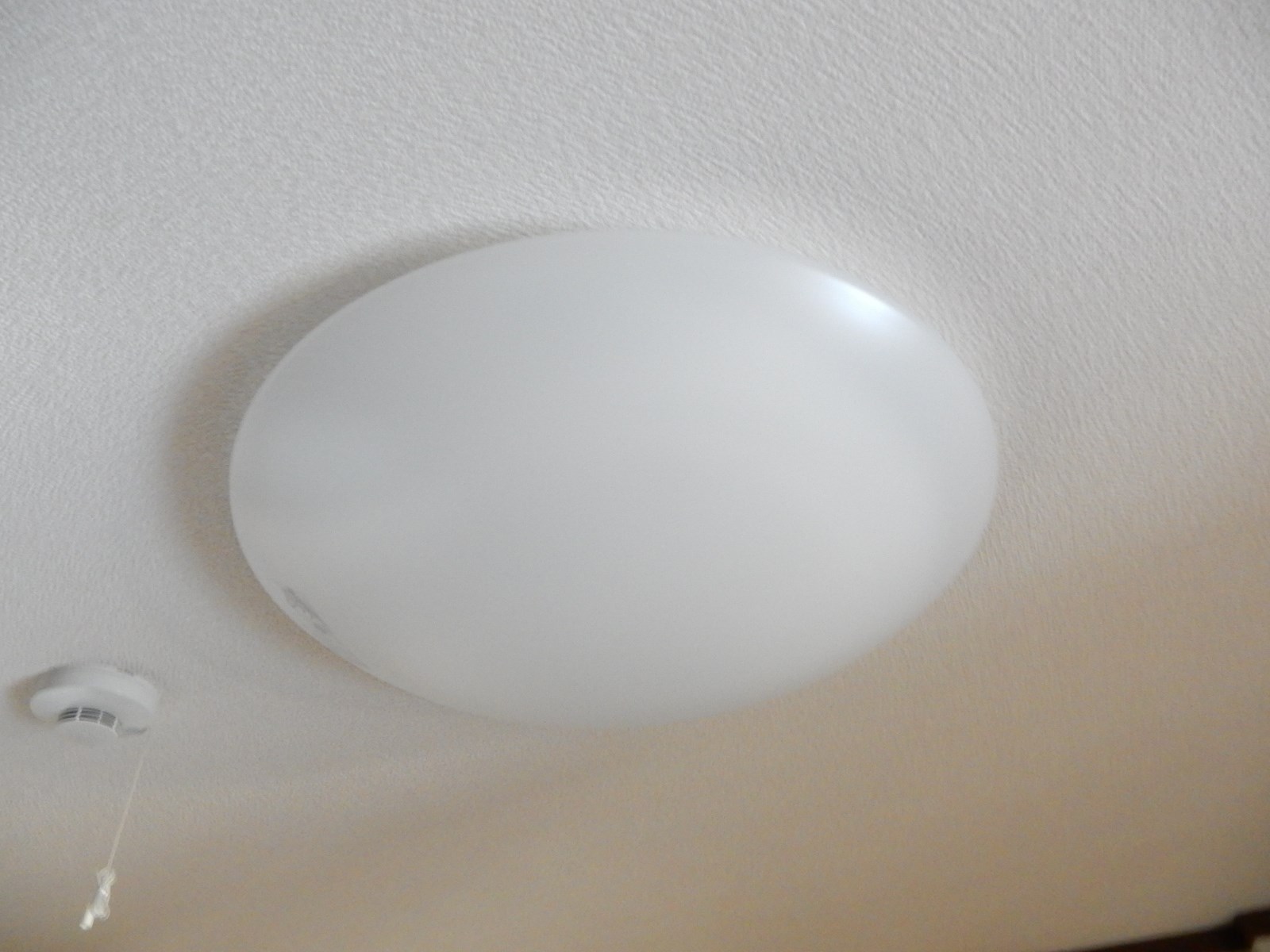 フローラかじま その他12