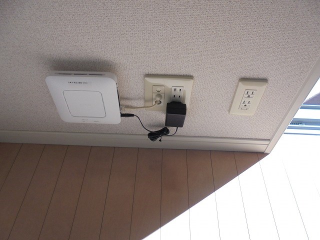 エクシーマ その他