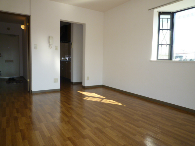 リベラルT その他1