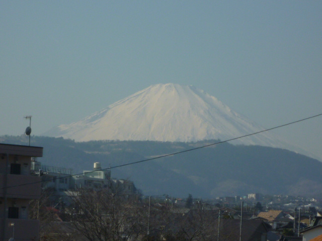 リベラルT その他3