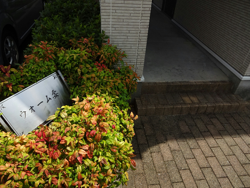 ウォーム要 その他外観3