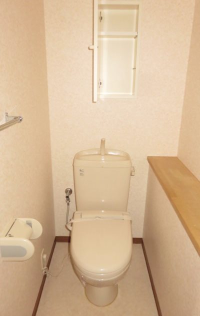 STAR DREAM その他1