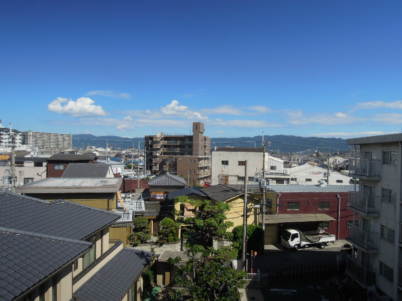 グリーンリーヴス 眺望