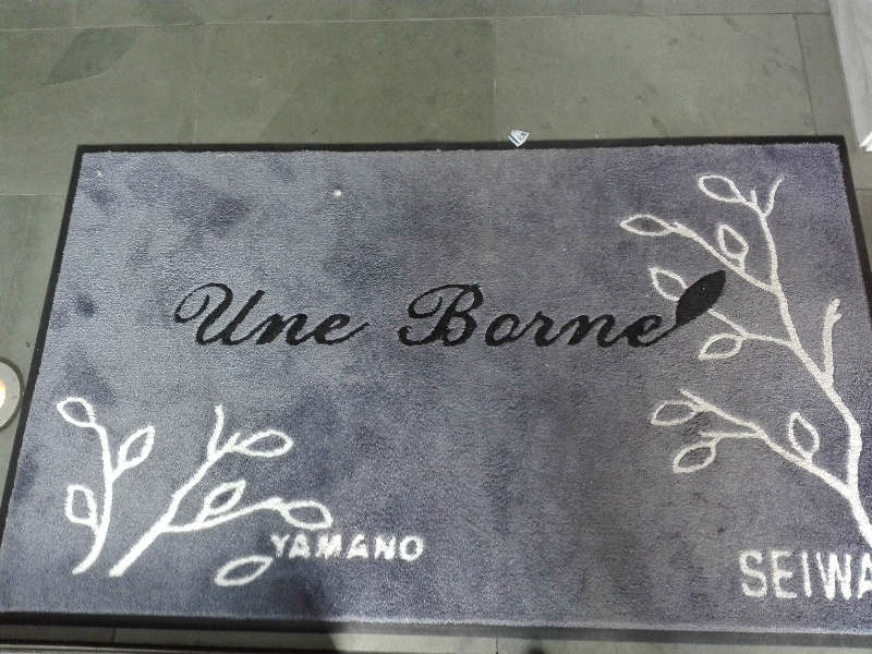 アン･ボルヌ その他31