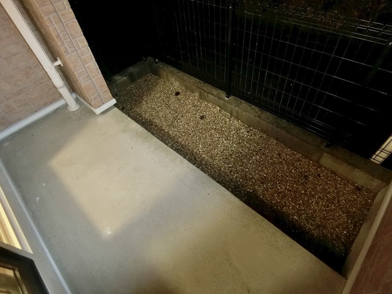 ウィステリア・Ｋ 庭