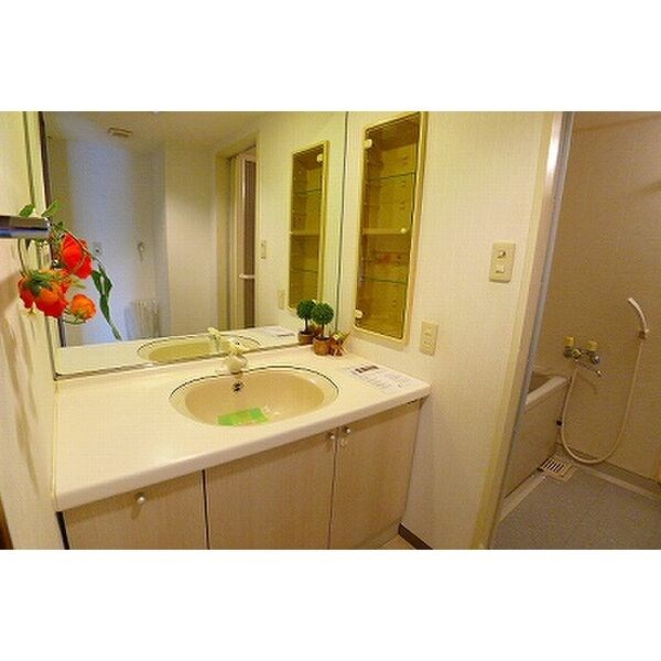 ROYAL RAISIN その他2