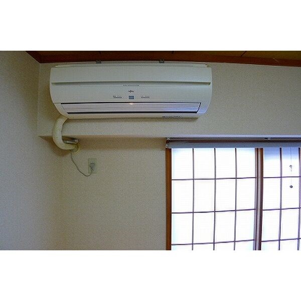 ROYAL RAISIN その他3