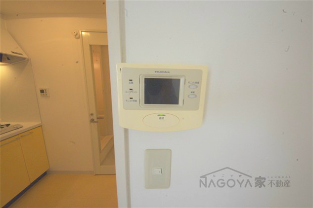 アムール青柳 その他4