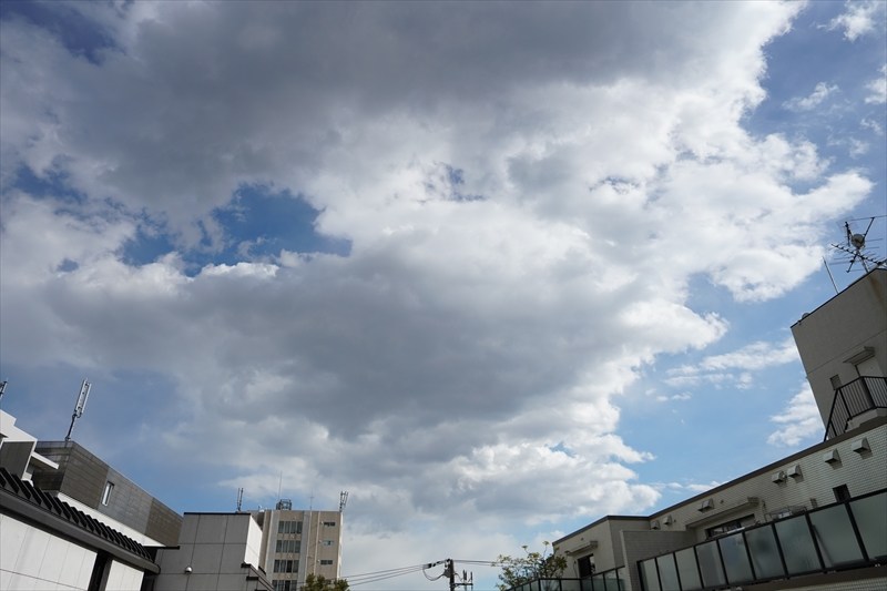 ビアンカ青葉台 その他