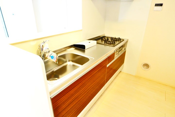 ロイジェントパークスレイクタウンⅢ　E その他7