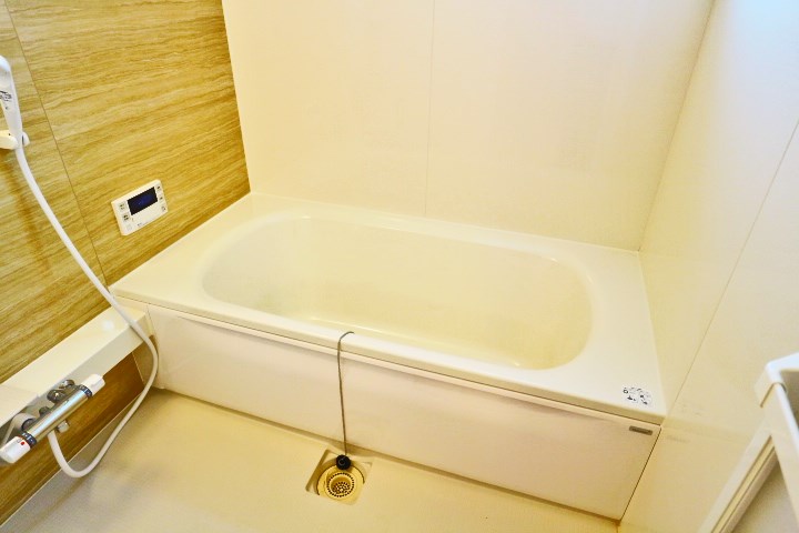 ロイジェントパークスレイクタウンⅢ　E その他12