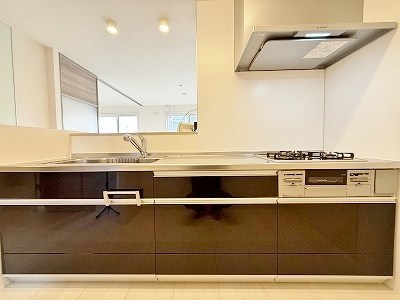 ドリームテュア　 その他14