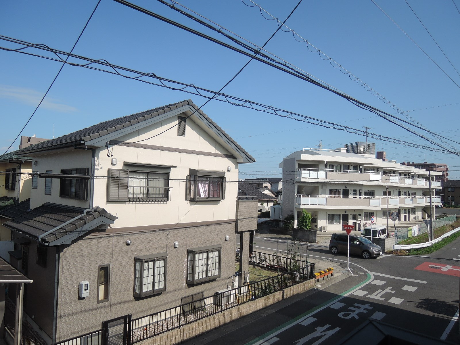 フラリッシュ・ウッド  その他7