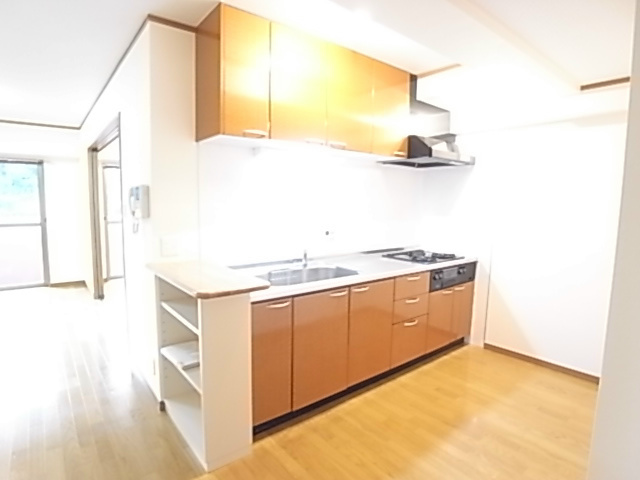 セントレジス・グラン キッチン