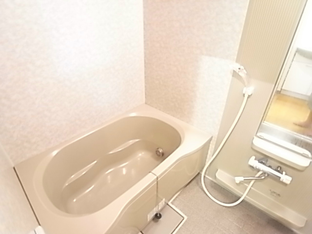 セントレジス・グラン 風呂画像