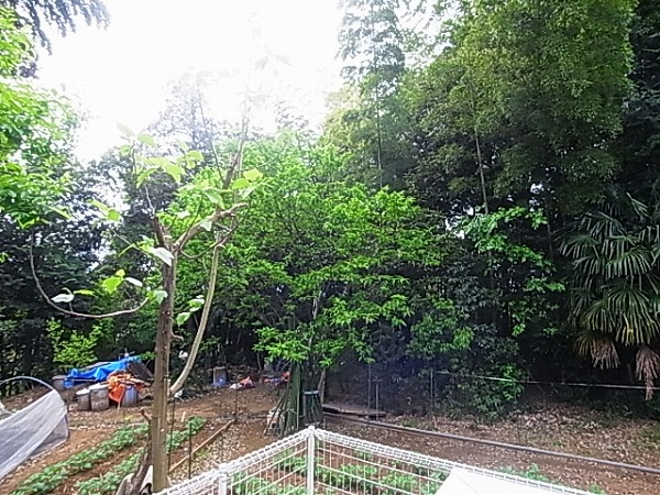 エーデルⅢ（中新宿） その他5