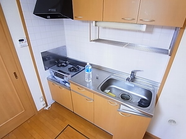 エーデルⅢ（中新宿） キッチン