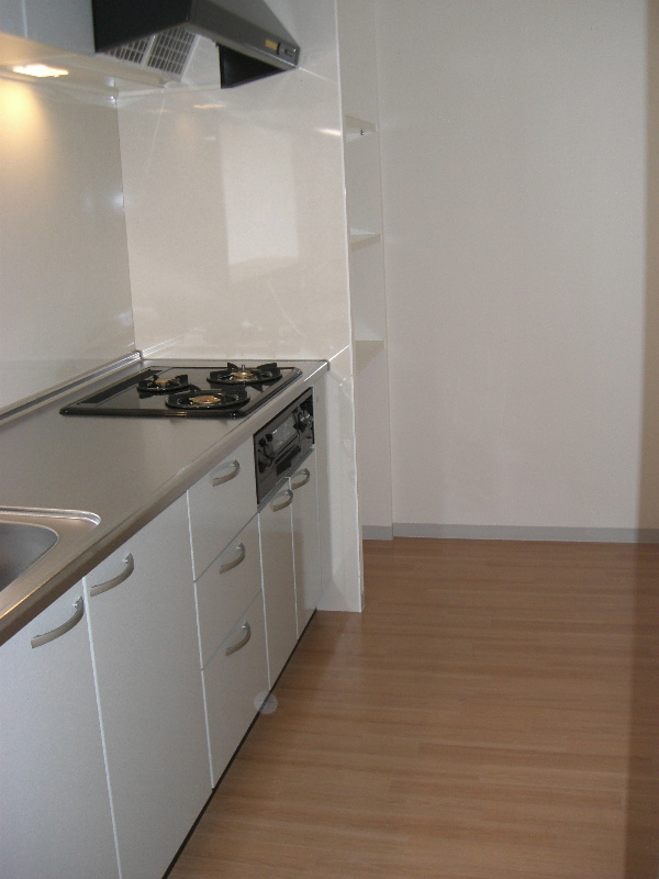 ルミナスベガ その他10