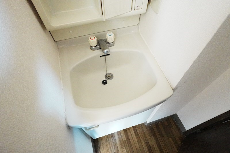 シャトーシャンボール 洗面所