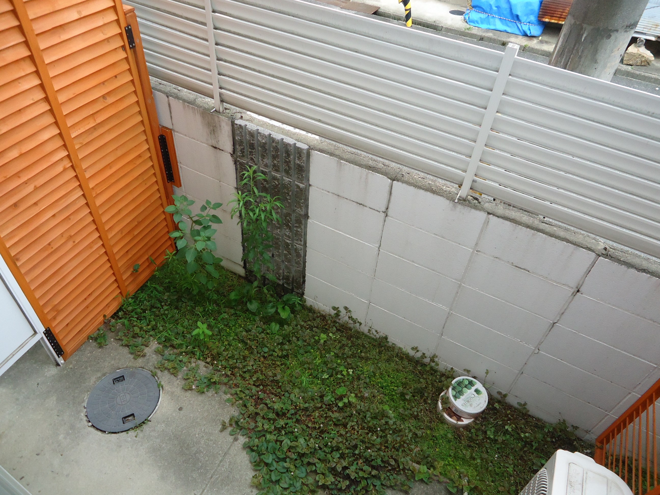 ブリリアント宮之阪 庭