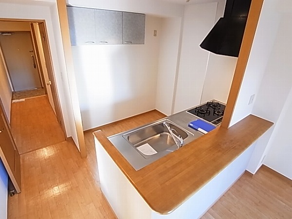 シャルマンフラットリヴァーⅠ その他7