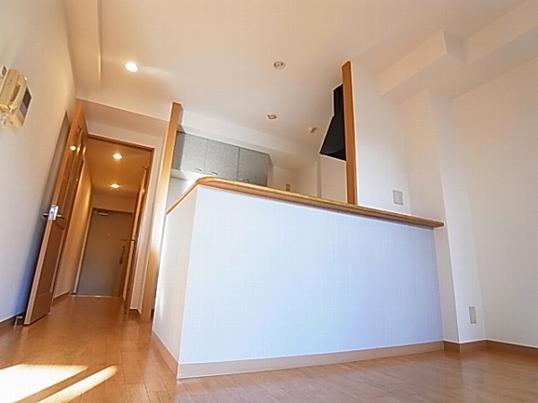 シャルマンフラットリヴァーⅠ その他9