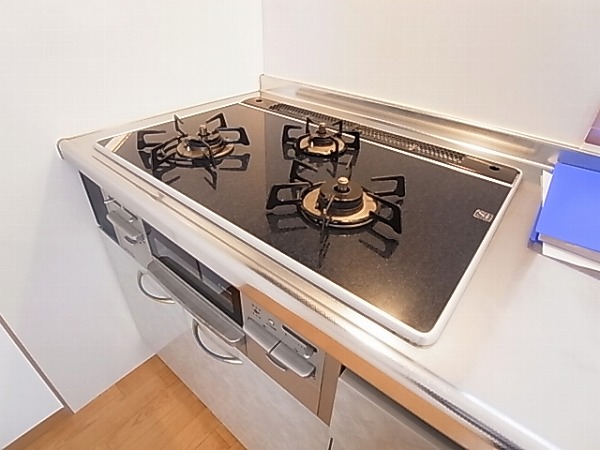 シャルマンフラットリヴァーⅠ その他11