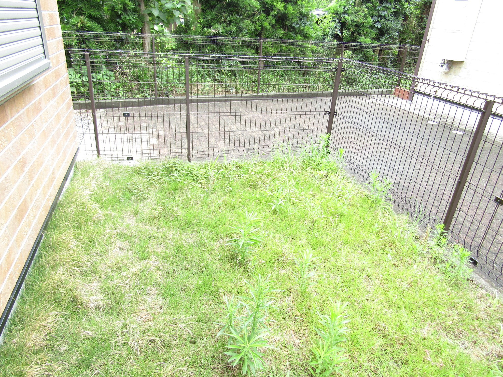 Branche&amp;rsquo;Rinne その他9