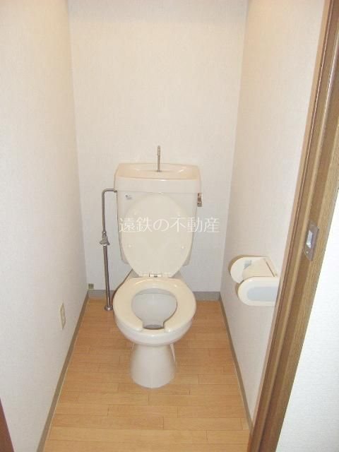 コスモス24 その他8