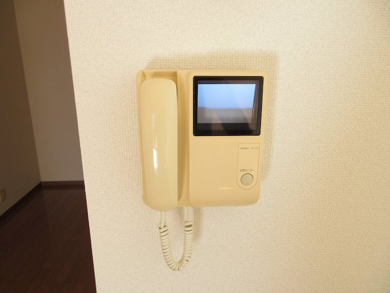 アレグリーア その他