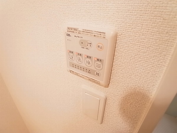 プリムローズＢ その他11