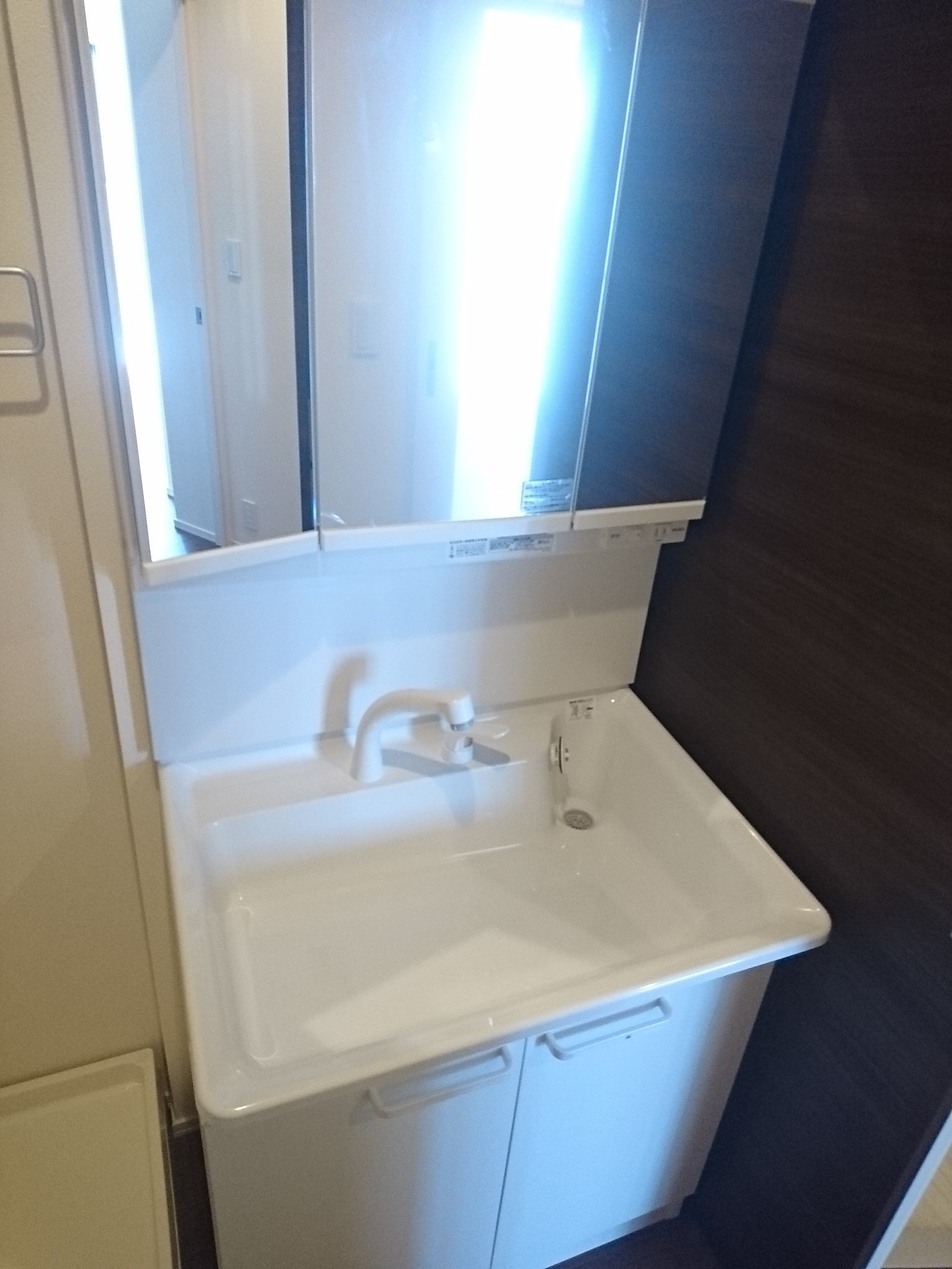 Diamond marsh その他1