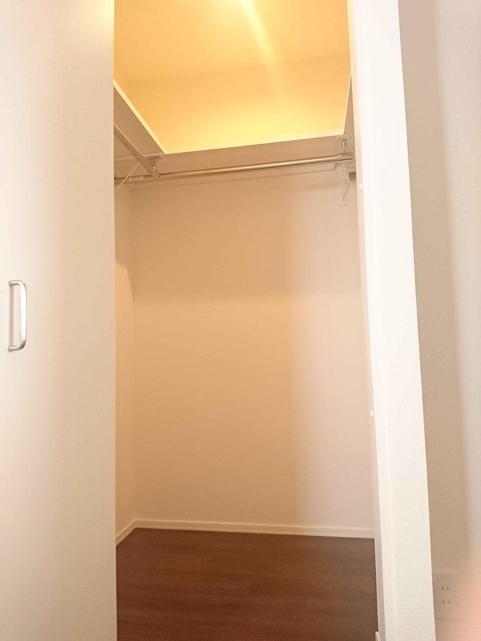 Diamond marsh その他4