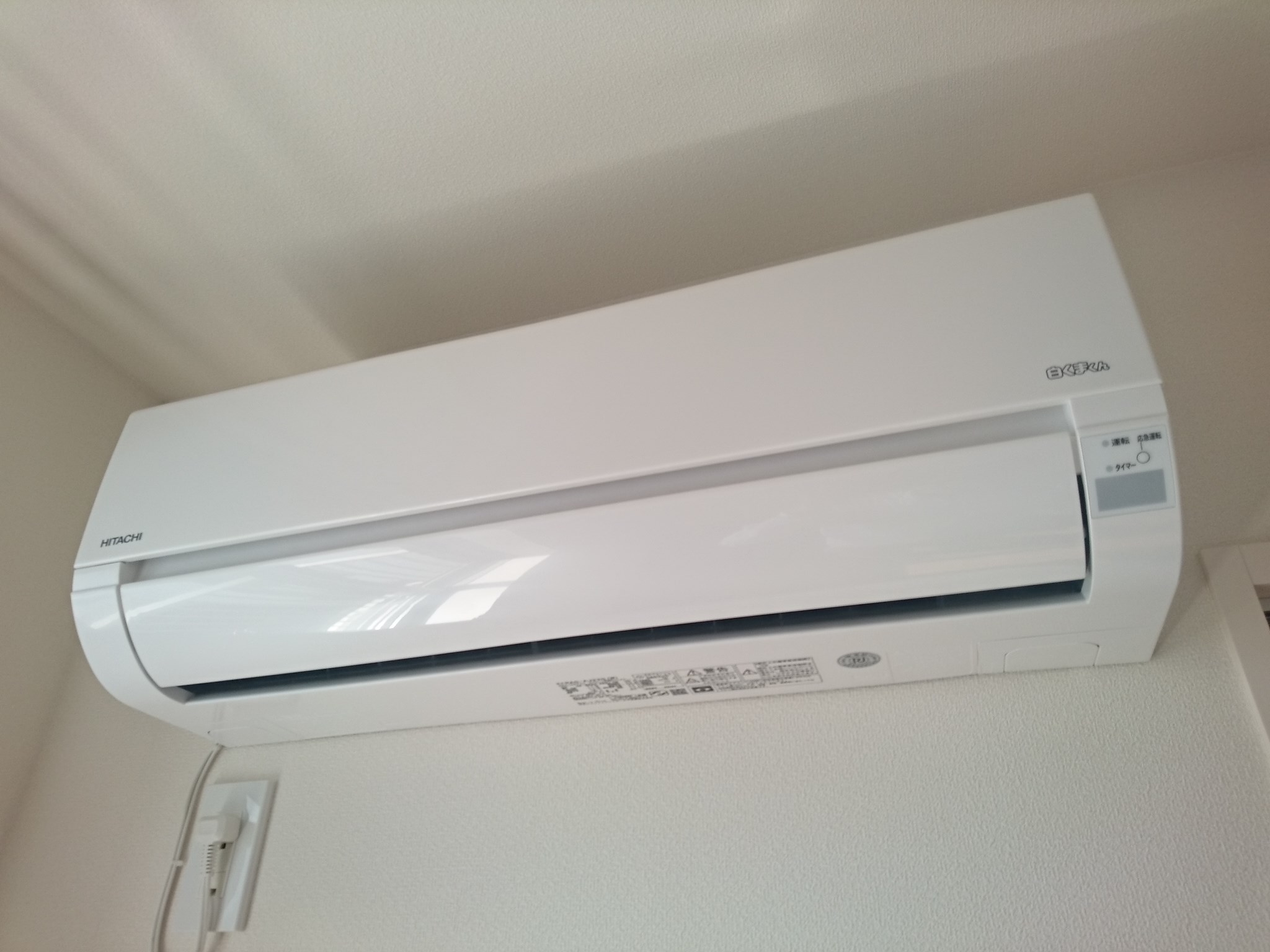 Diamond marsh その他5