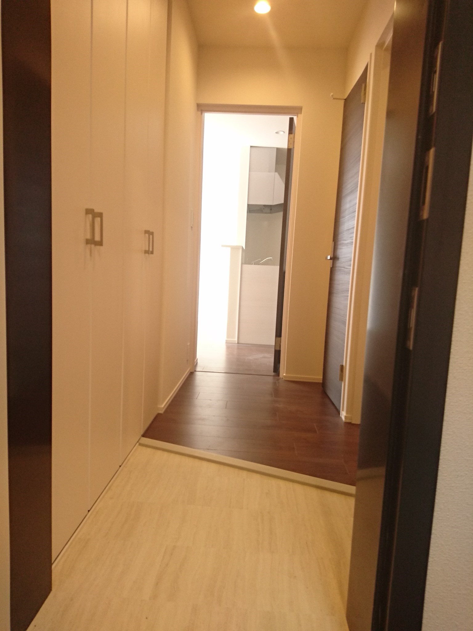 Diamond marsh 玄関