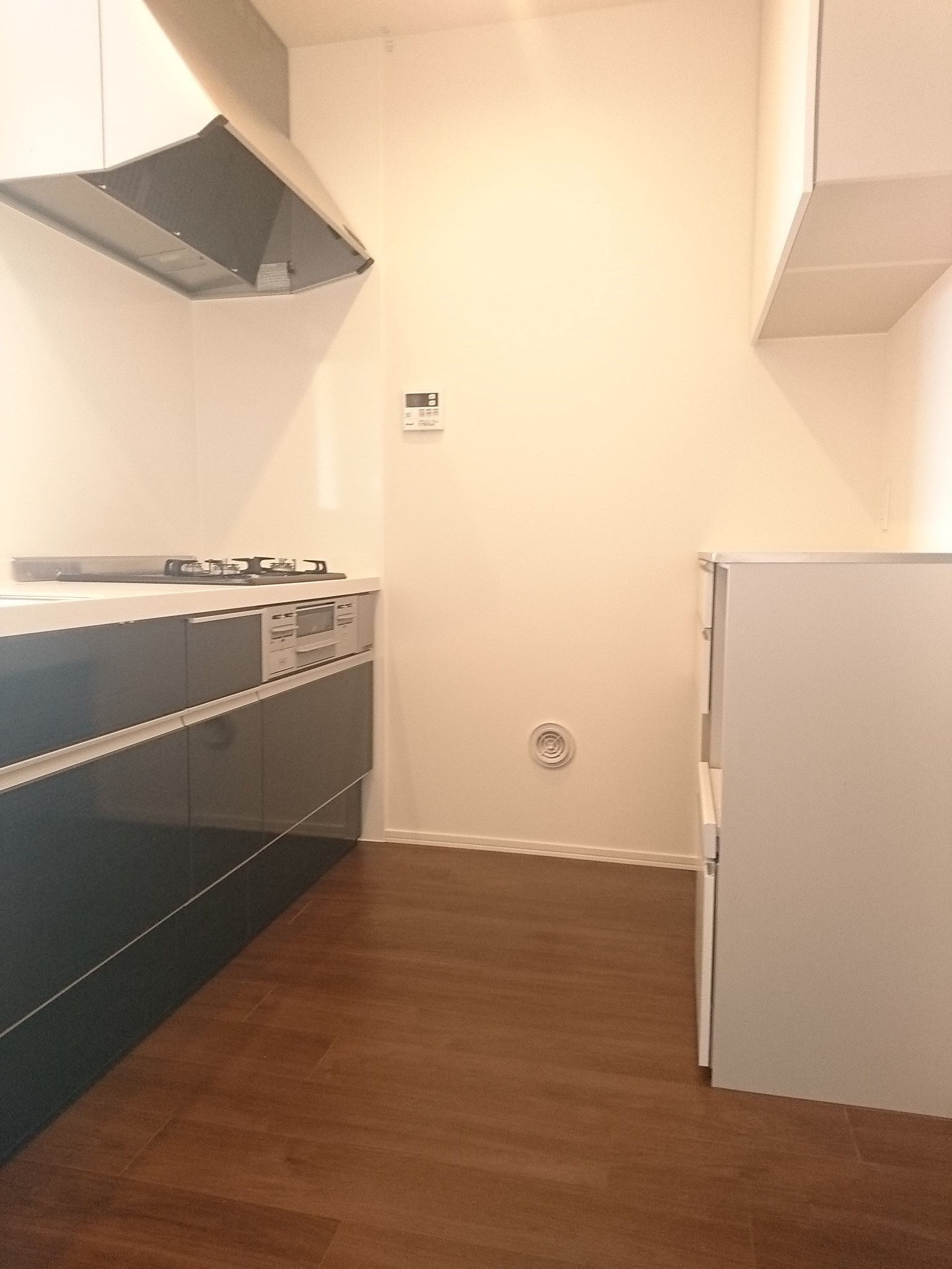 Diamond marsh その他7