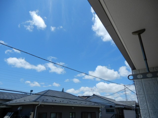 Diamond marsh その他10
