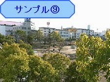 アラーキーマンション その他