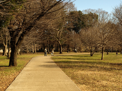 アラーキーマンション 公園