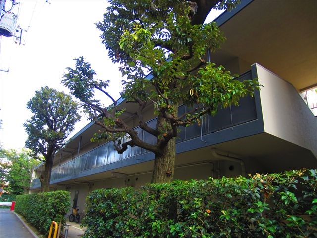 田端公園アパートメンツ 外観写真