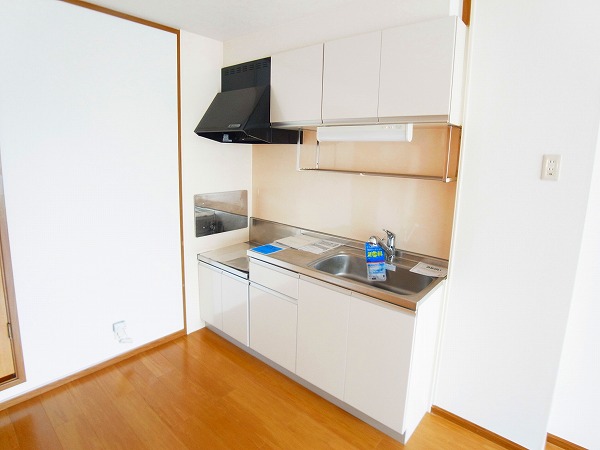 エヴァグリーンハイツ  キッチン