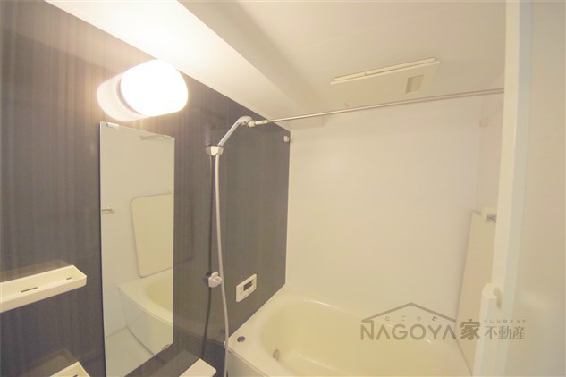 ペルテ金山 その他10