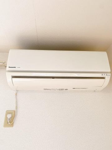 Ｓｕｎｎｙ　Ｆｉｅｌｄ  その他4