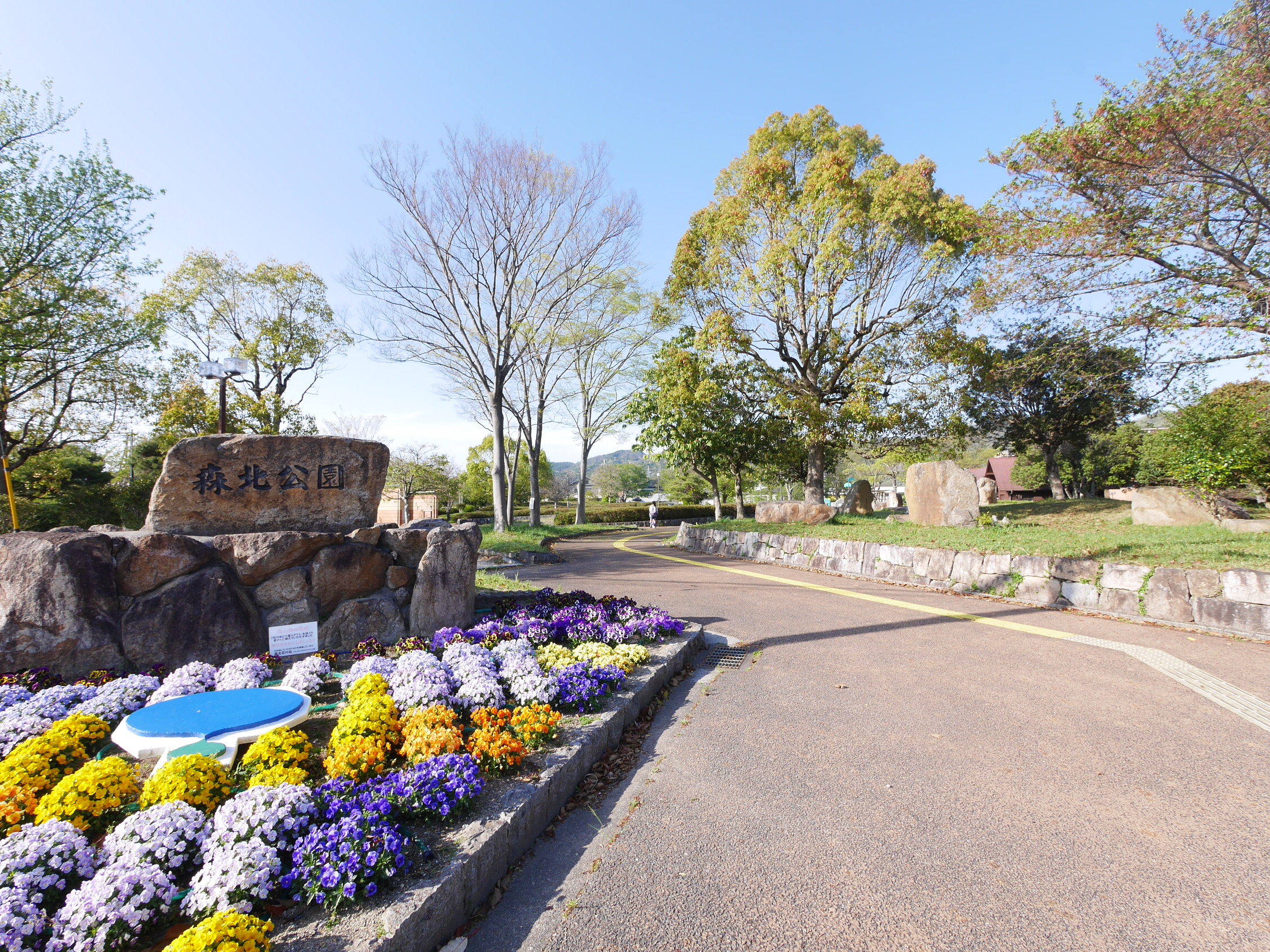 タウンハウス森北Ｂ棟 公園
