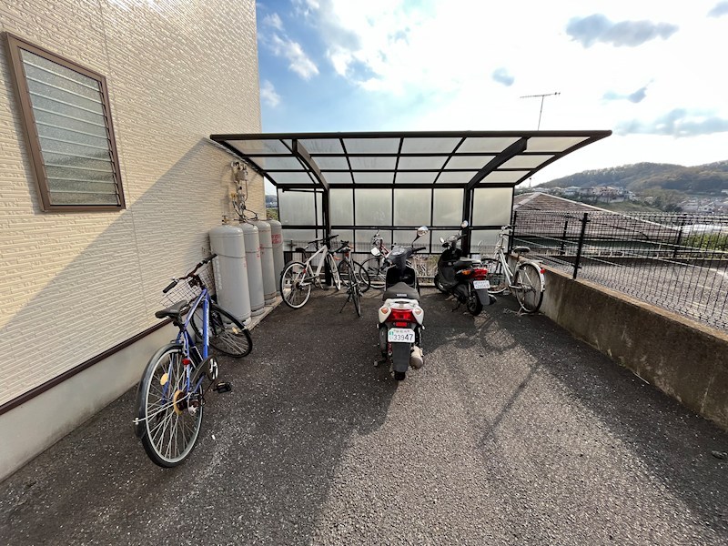 バロン  その他6