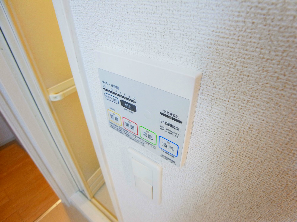 ストロベリーカーサⅧ-2  その他7