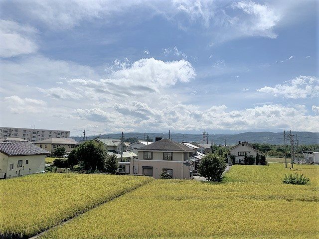 ＯＰａくりの木２ その他